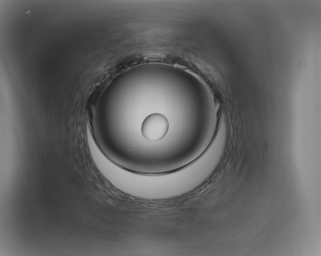 X0000114391445200910231007
