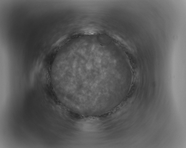 X0000114391446200910231007