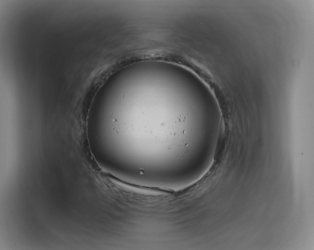 X0000114391447200910231007