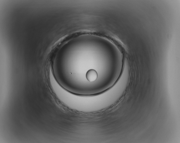 X0000114391448200910231007