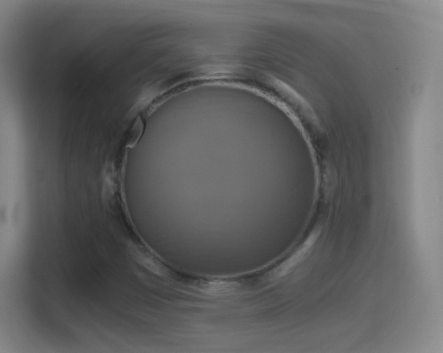 X0000114391449200910231007
