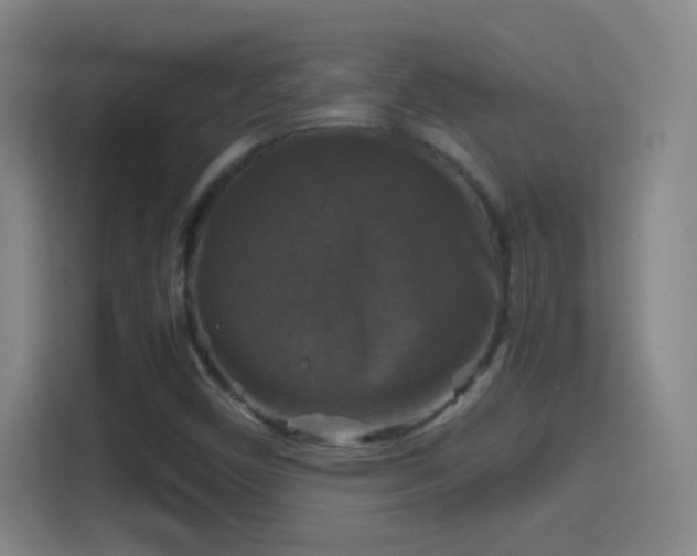 X0000114391450200910231007