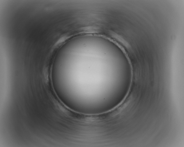 X0000114391451200910231007