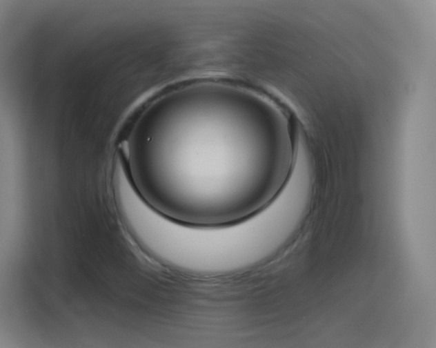 X0000114391452200910231007