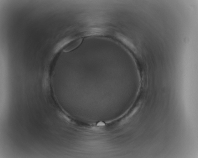 X0000114391453200910231007