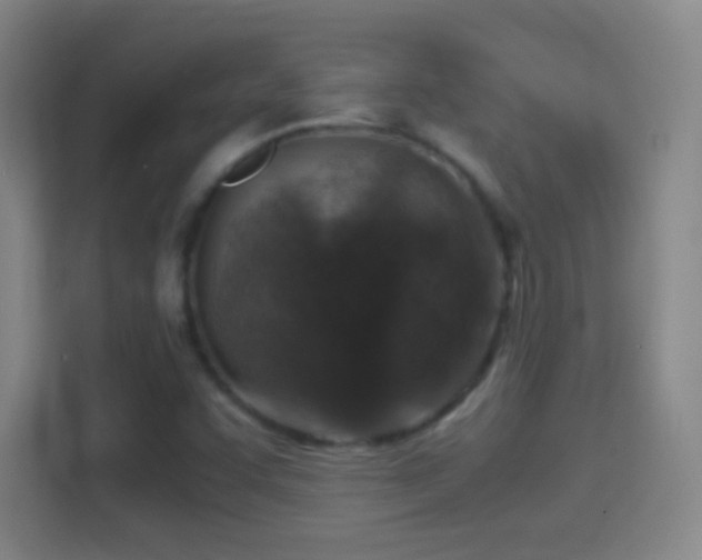 X0000114391455200910231007