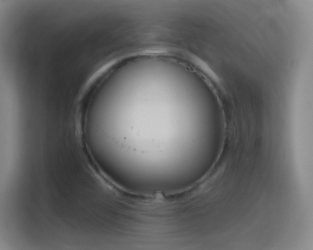 X0000114391456200910231007