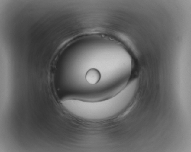 X0000114391457200910231007