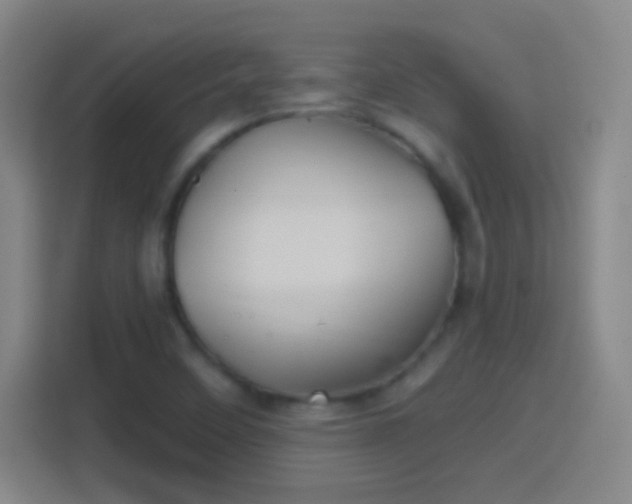 X0000114391458200910231007
