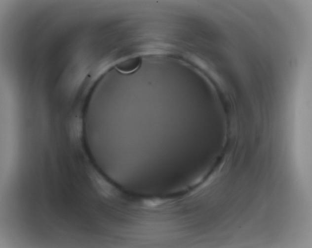 X0000114391459200910231007
