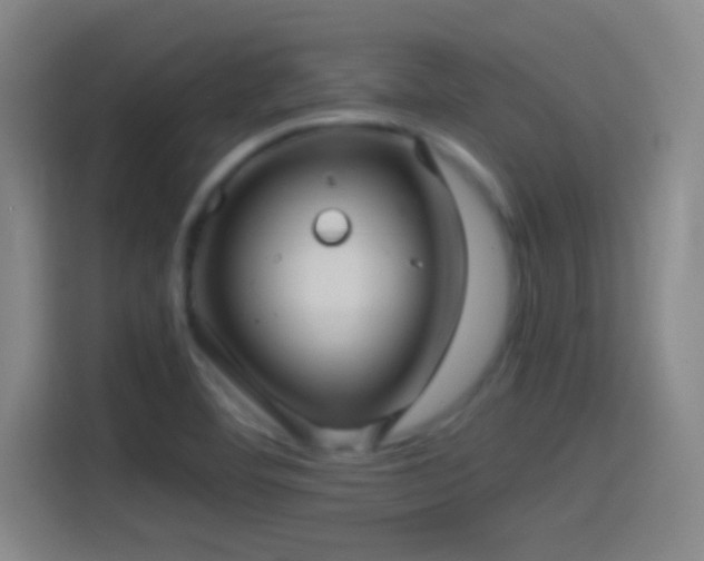 X0000114391460200910231007