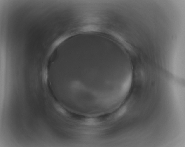 X0000114391461200910231007