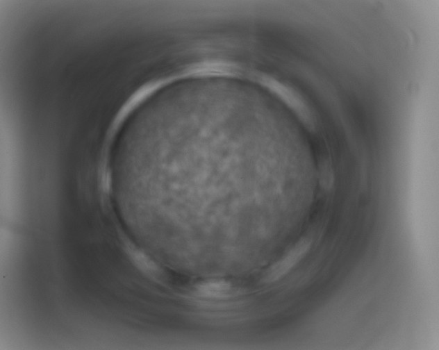X0000114391462200910231007