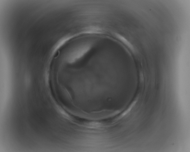 X0000114391463200910231007