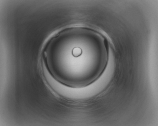 X0000114391464200910231007