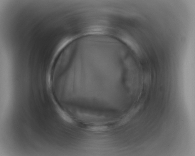 X0000114391466200910231007