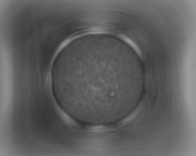 X0000114391467200910231007