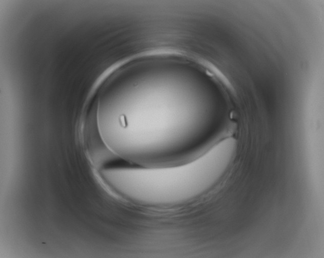 X0000114391468200910231007