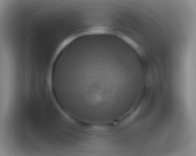 X0000114391469200910231007
