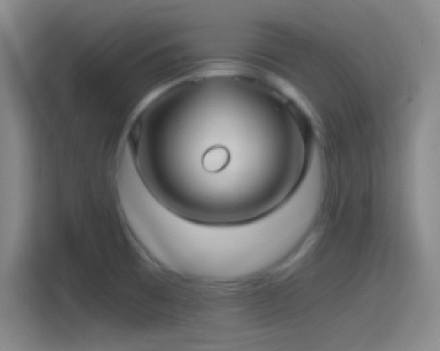 X0000114391473200910231006