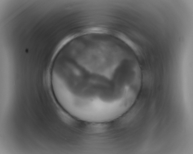 X0000114391474200910231006