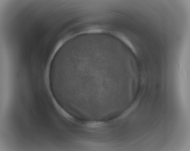 X0000114391475200910231006