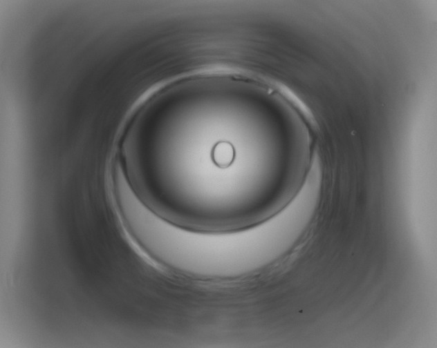 X0000114391476200910231006