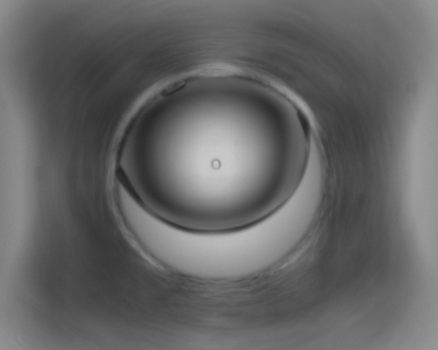 X0000114391477200910231006