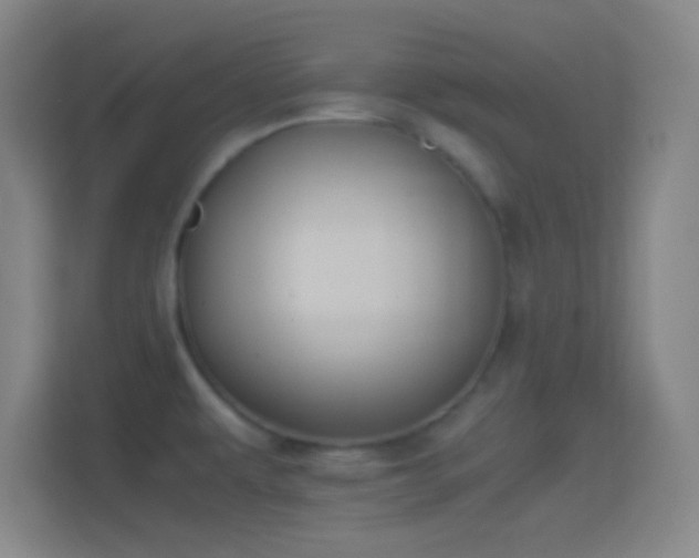 X0000114391479200910231006