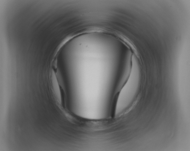 X0000114391481200910231006