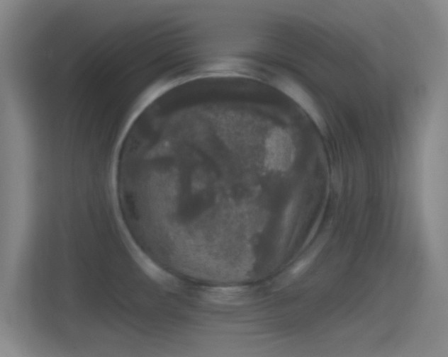 X0000114391482200910231006