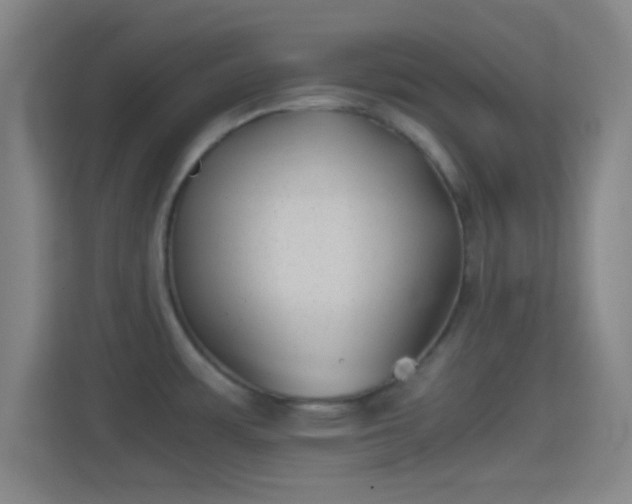 X0000114391483200910231006