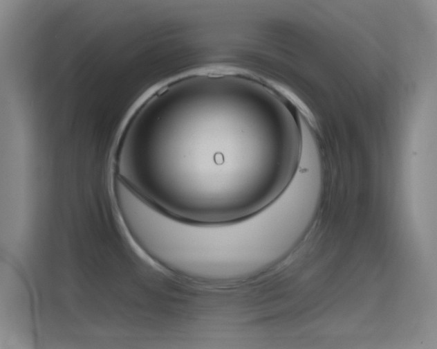 X0000114391484200910231006
