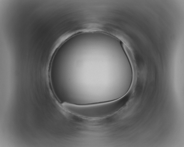 X0000114391485200910231006