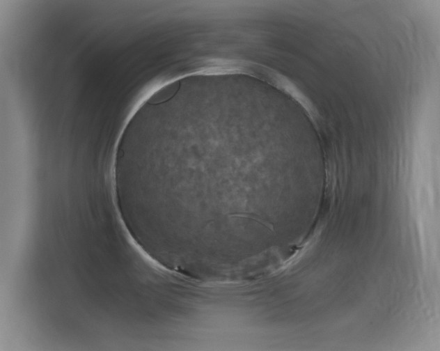 X0000114391487200910231006