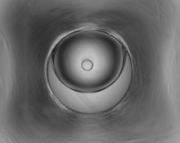 X0000114391488200910231006