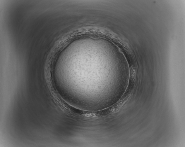X0000114391489200910231006