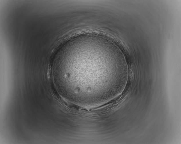 X0000114391490200910231006