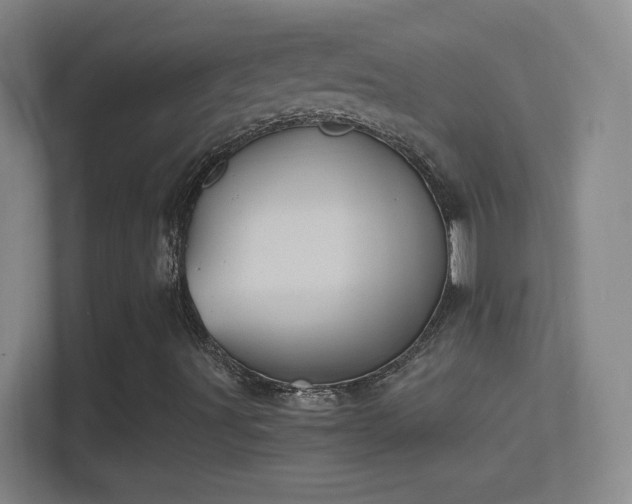 X0000114391491200910231006