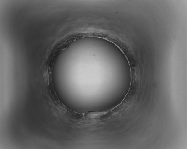 X0000114391493200910231006