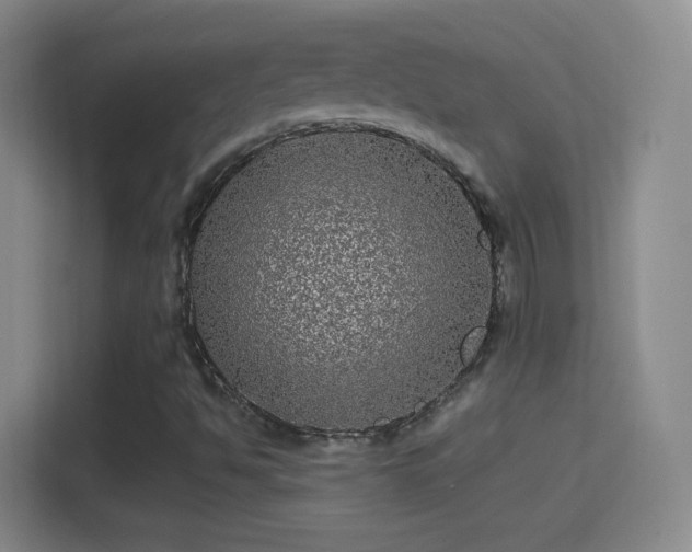 X0000114391494200910231006