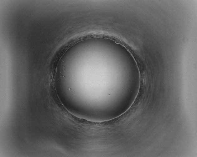 X0000114391495200910231006