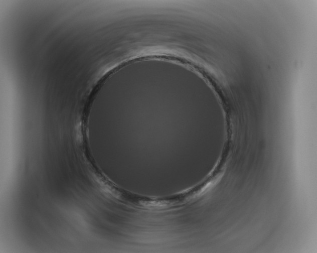 X0000114391497200910231006