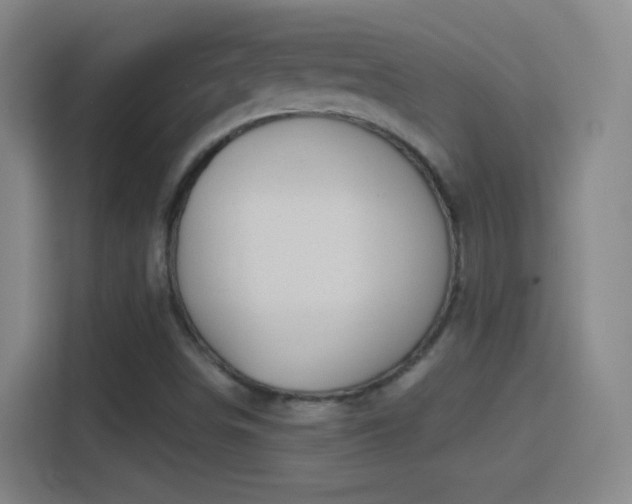 X0000114391498200910231006