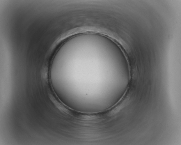 X0000114391499200910231006