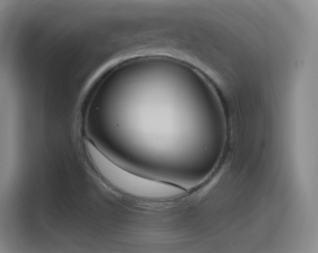 X0000114391502200910231006