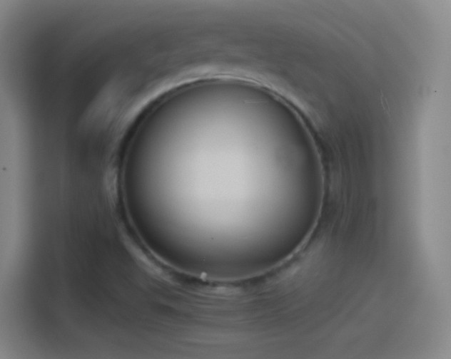 X0000114391503200910231006