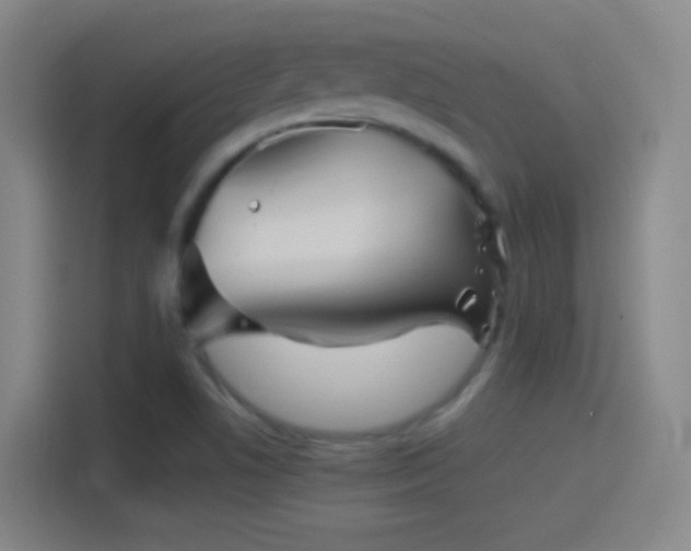 X0000114391506200910231006