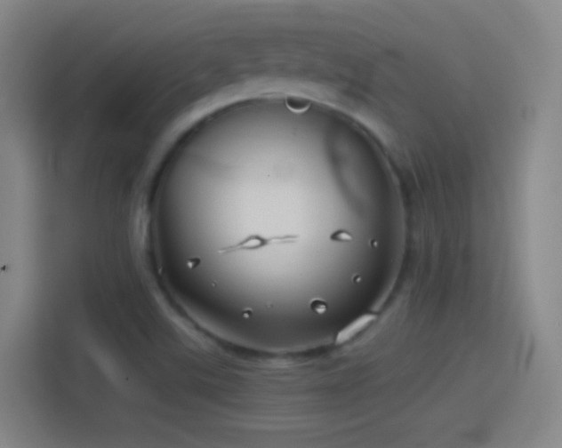 X0000114391507200910231006