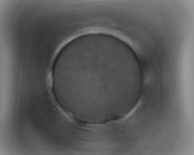 X0000114391509200910231006